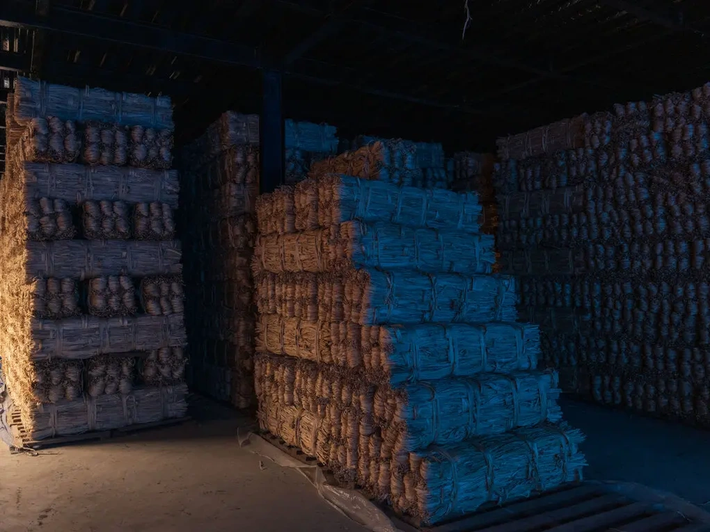 Nông dân Nepal trồng cây in tiền cho nền kinh tế thứ 3 thế giới - 4