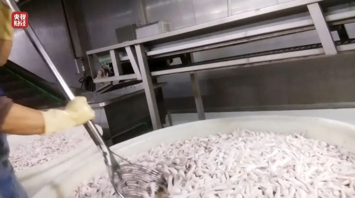 Bên trong xưởng sản xuất chân gà Bên trong xưởng sản xuất chân gà