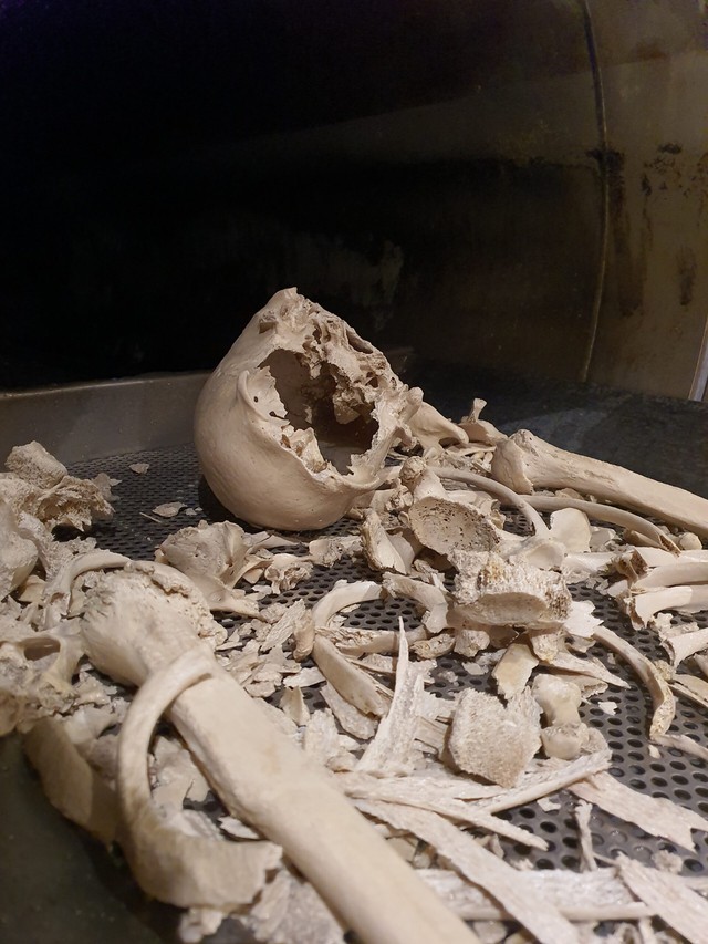 Phân hủy thi thể thành... nước rồi đổ xuống cống: Phương pháp mai táng thân thiện môi trường hay tận cùng của sự đáng sợ?- Ảnh 5.