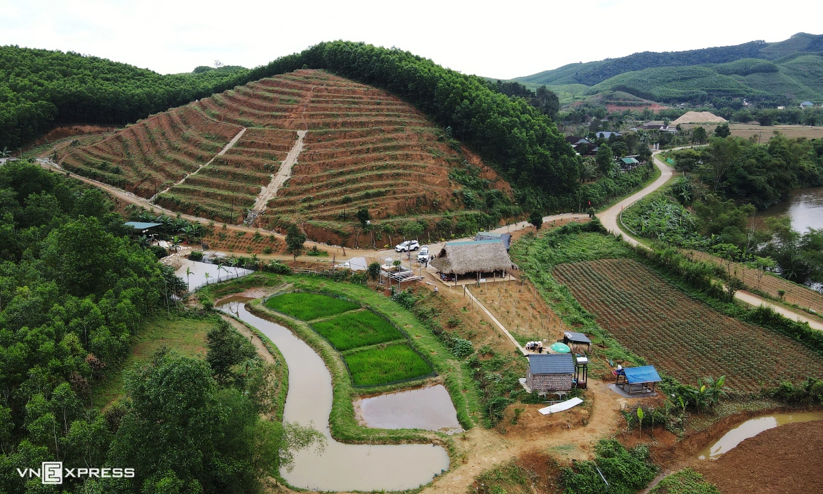 Khách Tây thử cảm giác được đàn vịt vây quanh 'massage' - 3