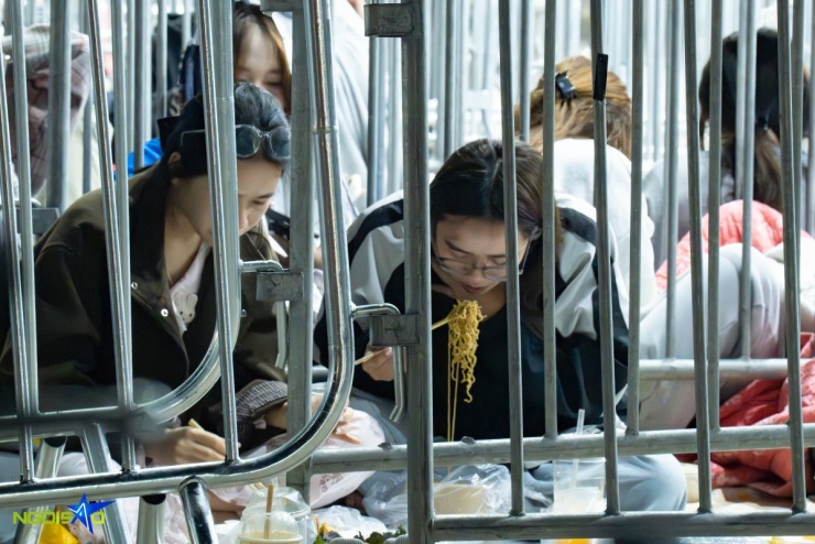 Fan nằm đất xuyên đêm, bám rào chờ xem concert Anh trai say hi 5 Fan nằm đất xuyên đêm, bám rào chờ xem concert 'Anh trai say hi' - 4