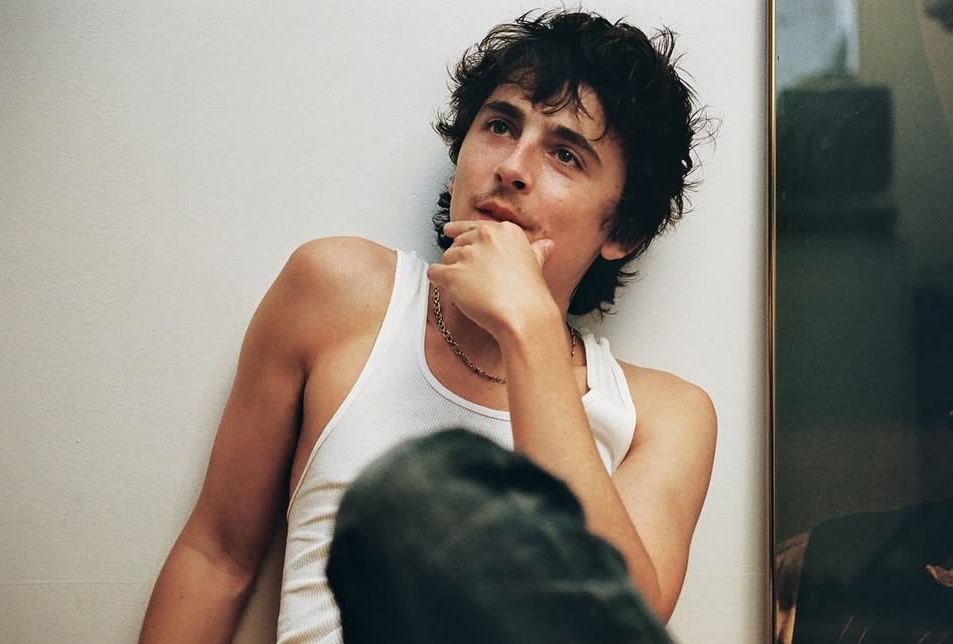 Timothée Chalamet ơi, đúng là 