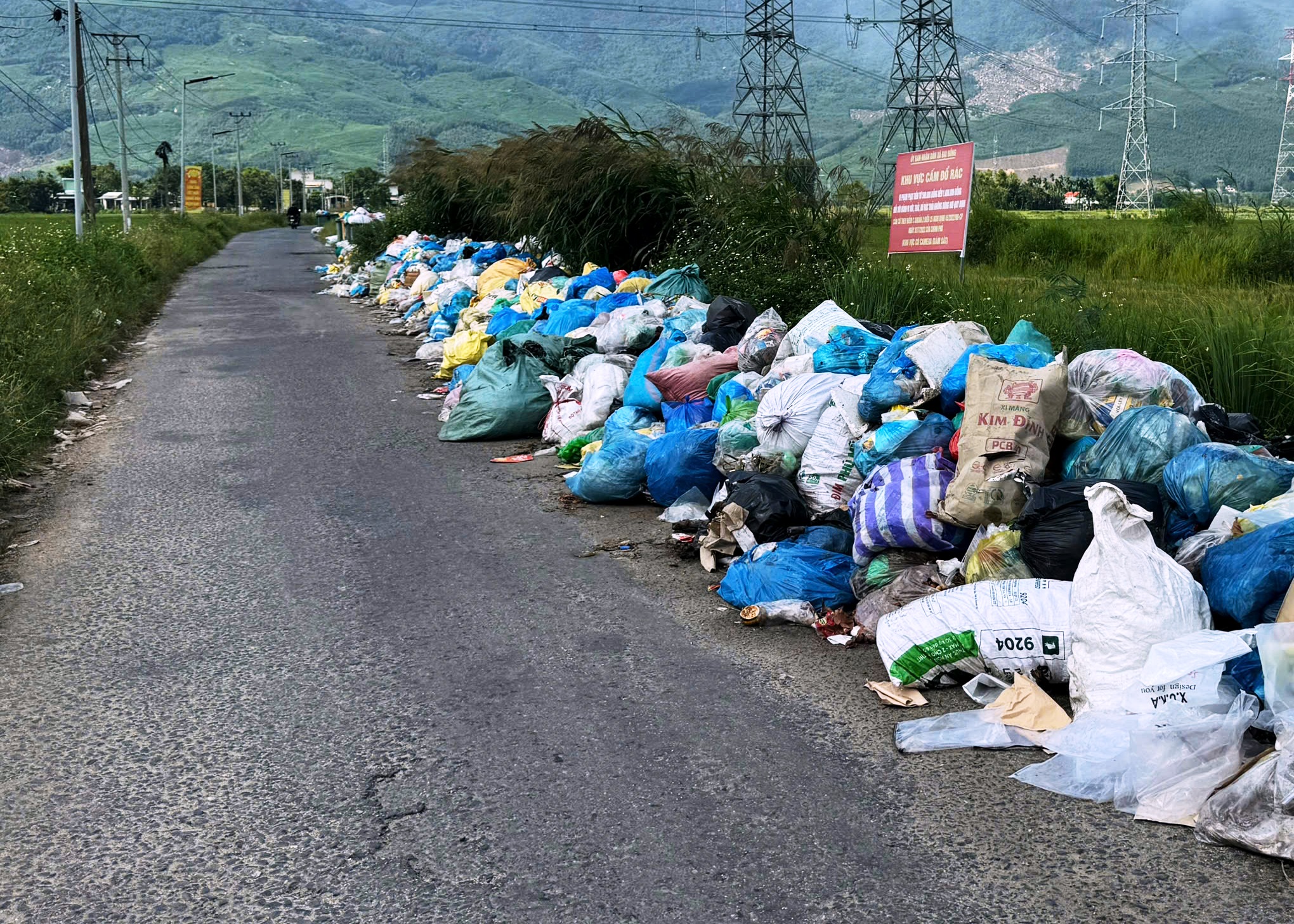 Hàng nghìn tấn rác tồn đọng, 4 xã ở Đà Nẵng đồng loạt 'kêu cứu'- Ảnh 2.