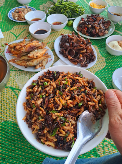 Con đặc sản “nhìn đã thấy sợ” ở Tây Bắc xưa không ai ngó, nay thành món ăn được dân nhậu mê tít săn lùng- Ảnh 4.