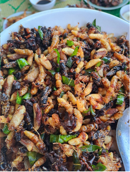 Con đặc sản “nhìn đã thấy sợ” ở Tây Bắc xưa không ai ngó, nay thành món ăn được dân nhậu mê tít săn lùng- Ảnh 6.