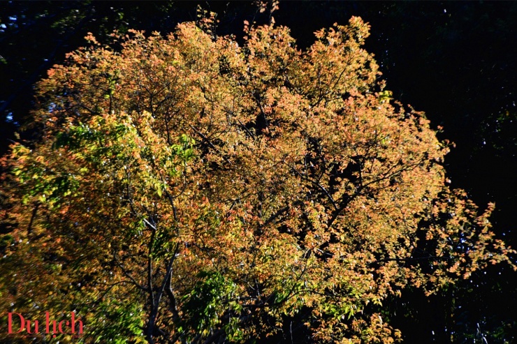 Hoàng hôn đầy chất thơ ở thiên đường nghỉ dưỡng Măng Đen 6 Hoàng hôn đầy chất thơ ở thiên đường nghỉ dưỡng Măng Đen - 5