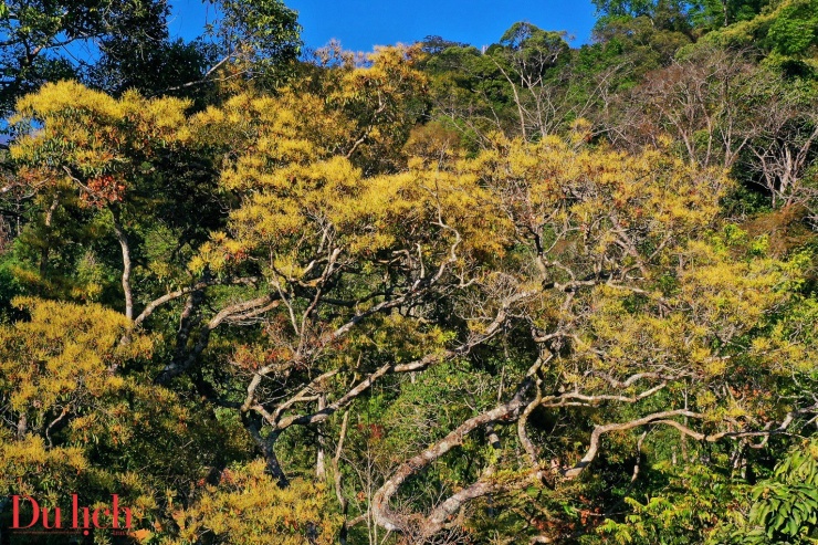 Hoàng hôn đầy chất thơ ở thiên đường nghỉ dưỡng Măng Đen 7 Hoàng hôn đầy chất thơ ở thiên đường nghỉ dưỡng Măng Đen - 6