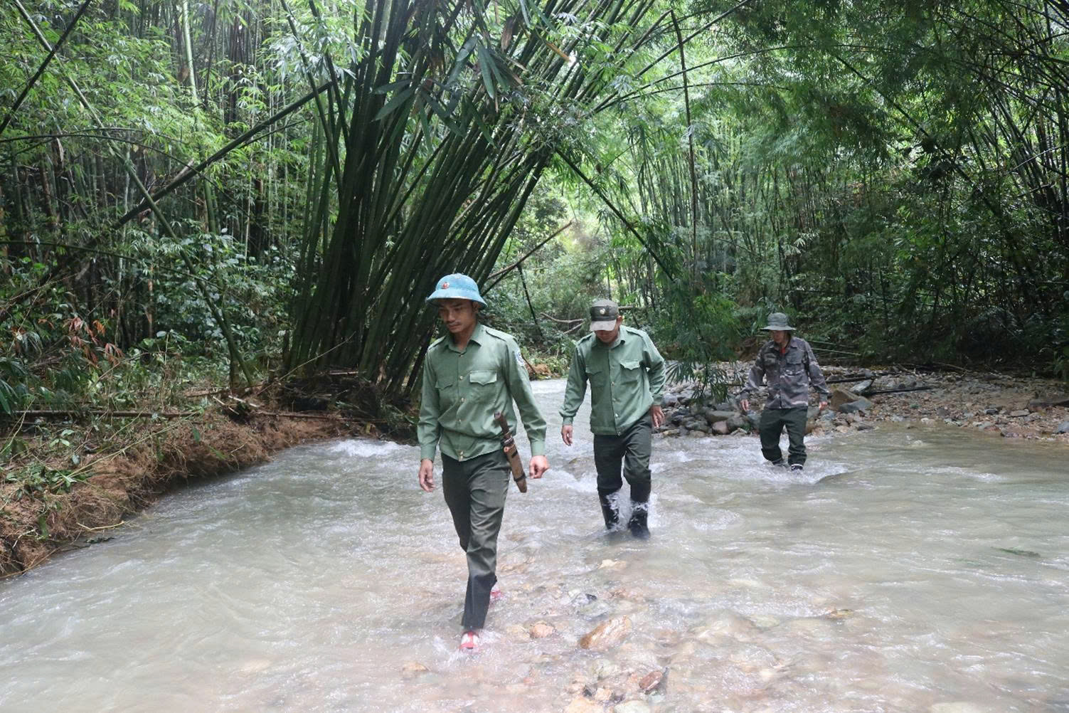 Báu vật Chư Mom Ray: Phục hồi 'kho báu' rừng nguyên sinh- Ảnh 3.
