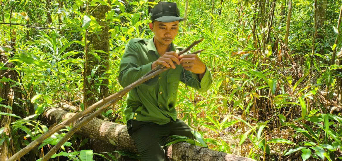 Báu vật Chư Mom Ray: Phục hồi 'kho báu' rừng nguyên sinh- Ảnh 5.
