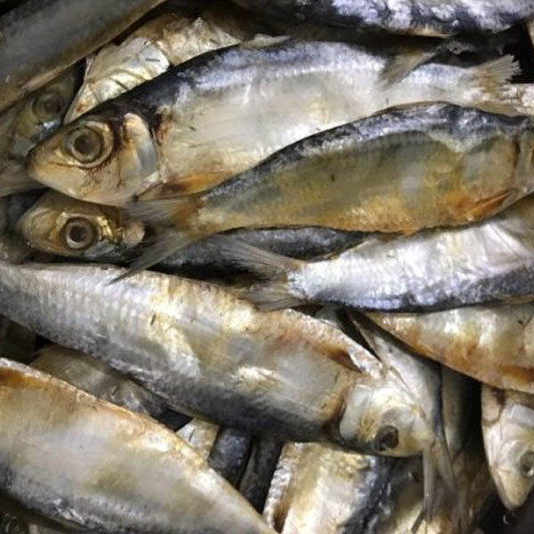 Hoa mắt trước quầy cá siêu thị: Nhân viên chỉ 3 loại 