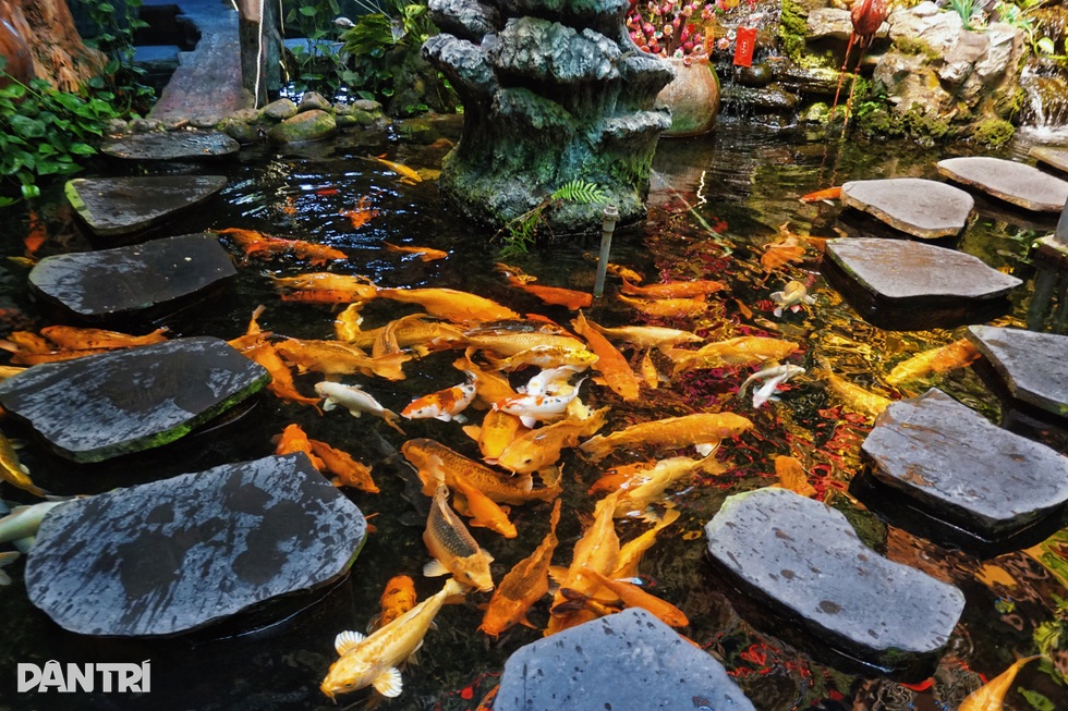 Dựng quán cà phê hang động ở Đồng Nai, chủ quán sợ... khách đông - 8