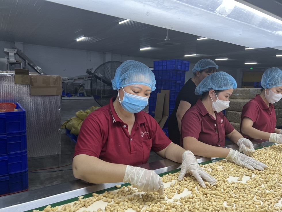 Dấu ấn Việt Nam phía sau sự phát triển thần kỳ của ngành điều Campuchia - 4