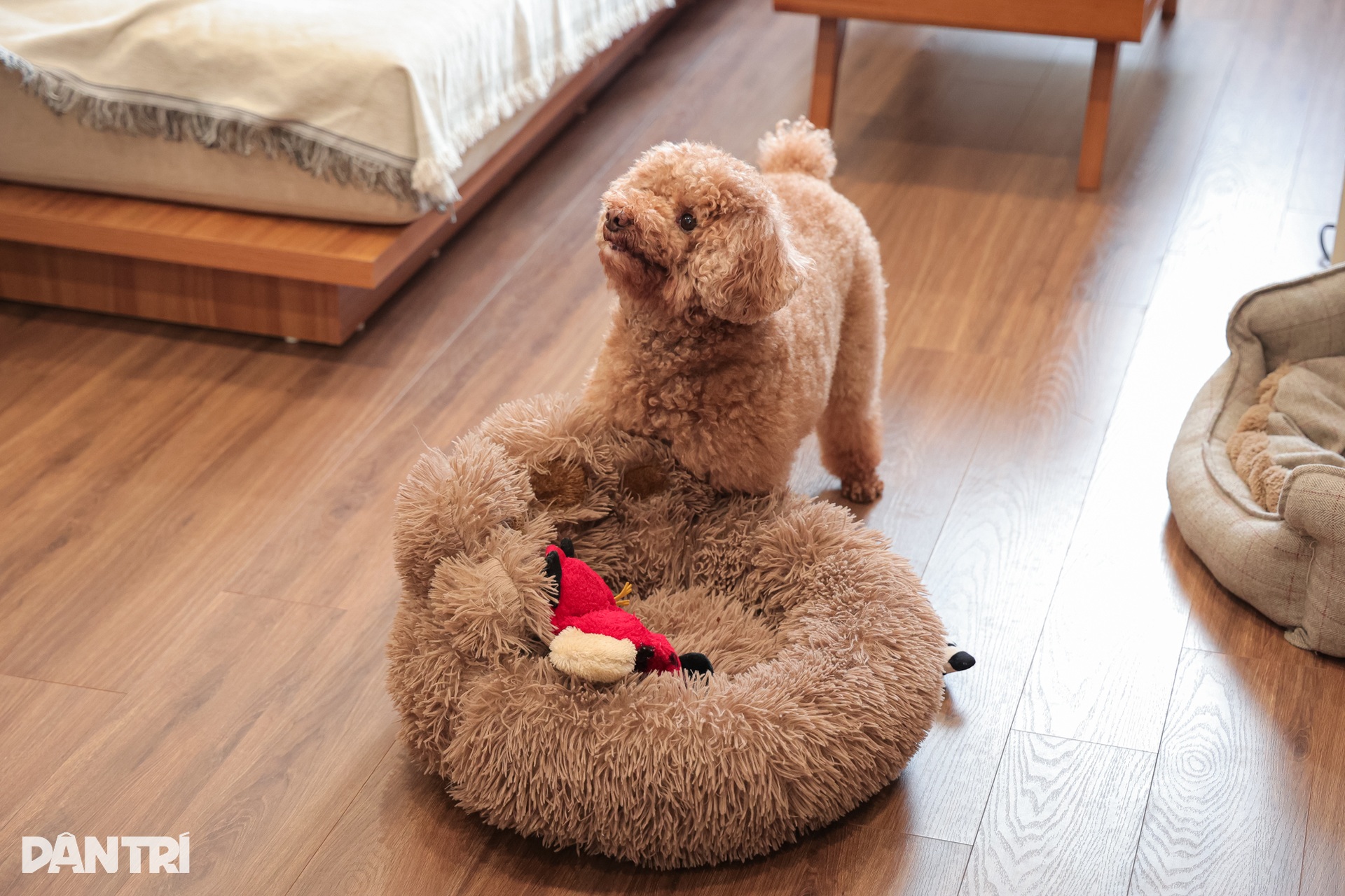 Cận cảnh chung cư rộng 70m2 ở ngoại thành của NSND Minh Châu - 3