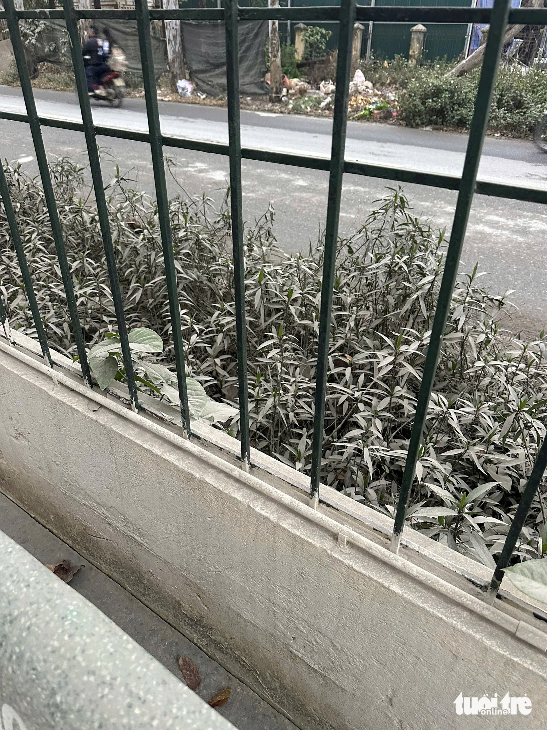 trạm trộn bê tông - Ảnh 3.