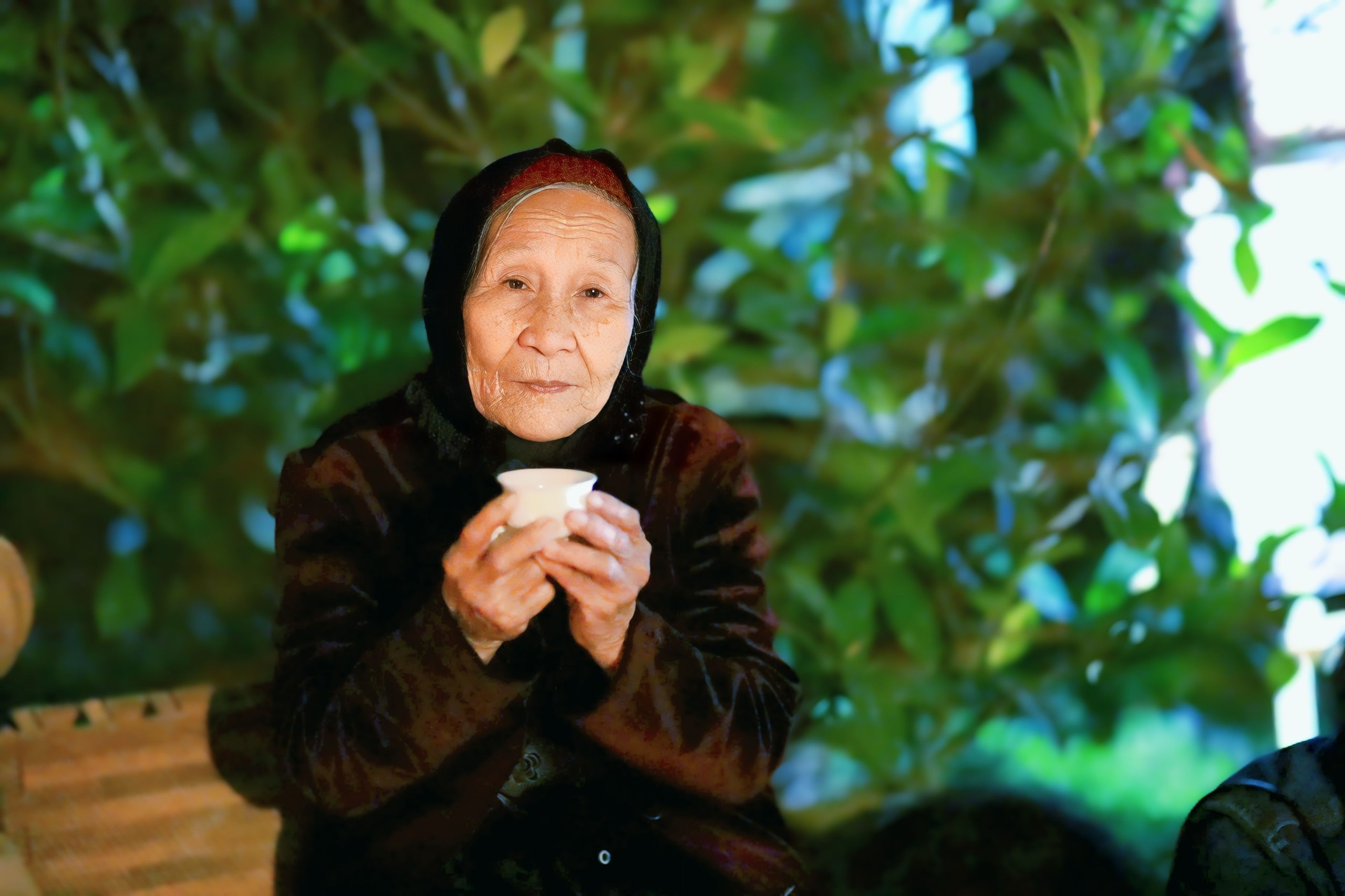 Một ấm trà, trọn kiếp người - Ảnh 8.