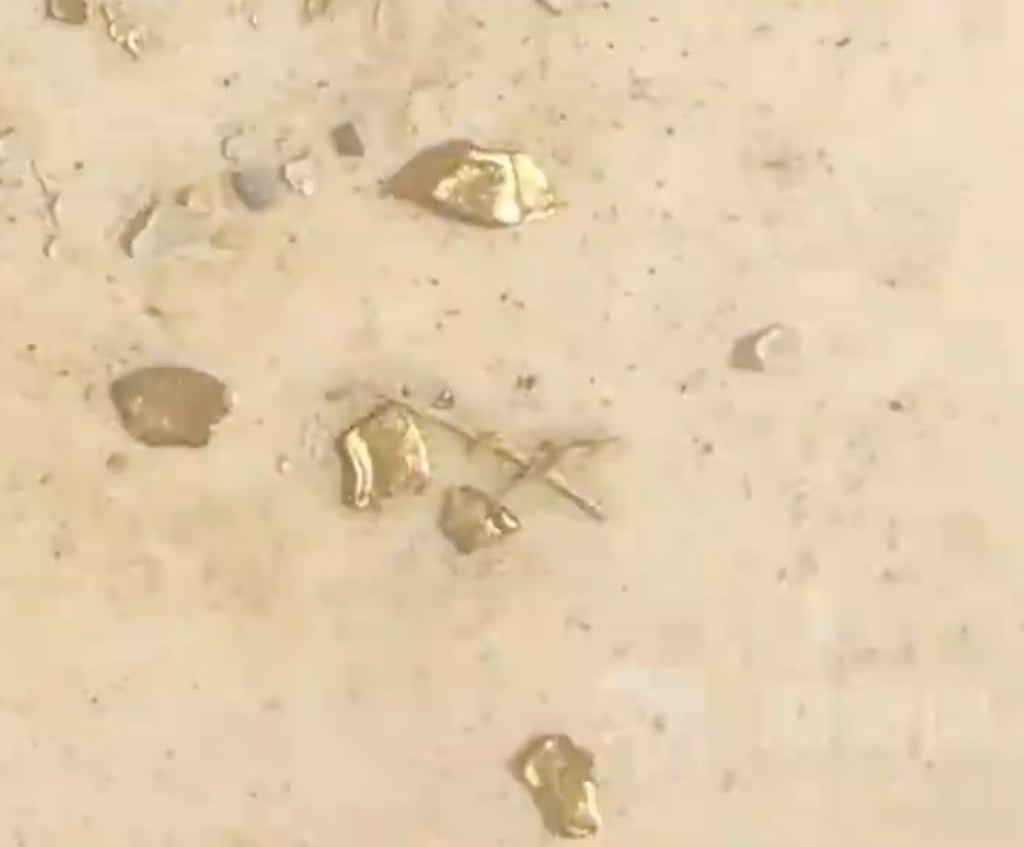 Mổ vịt phát hiện vàng thật trong dạ dày: Câu chuyện lạ ở Trung Quốc gây bão mạng xã hội- Ảnh 3.