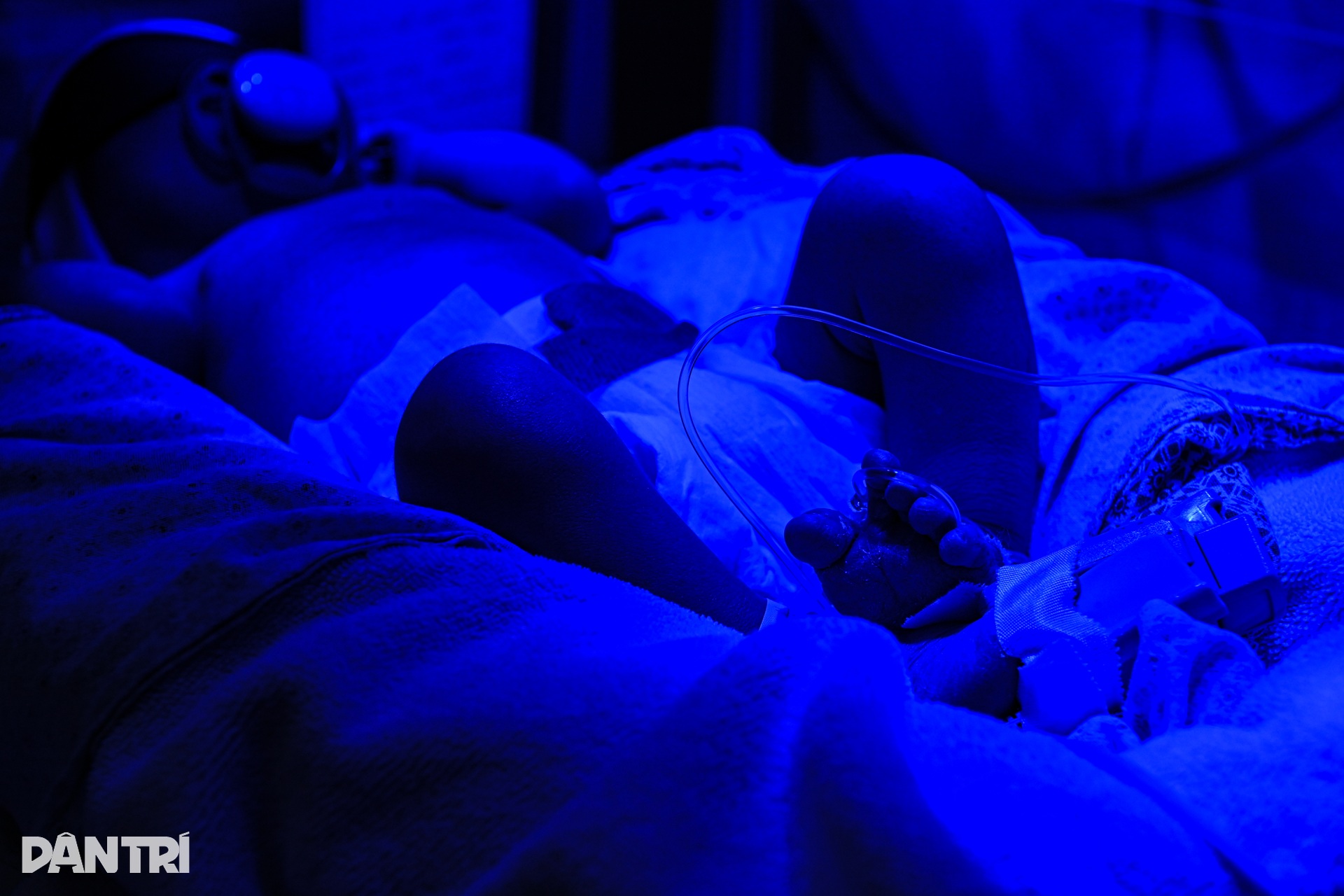 Những em bé lớn lên trong lồng ấp - 6