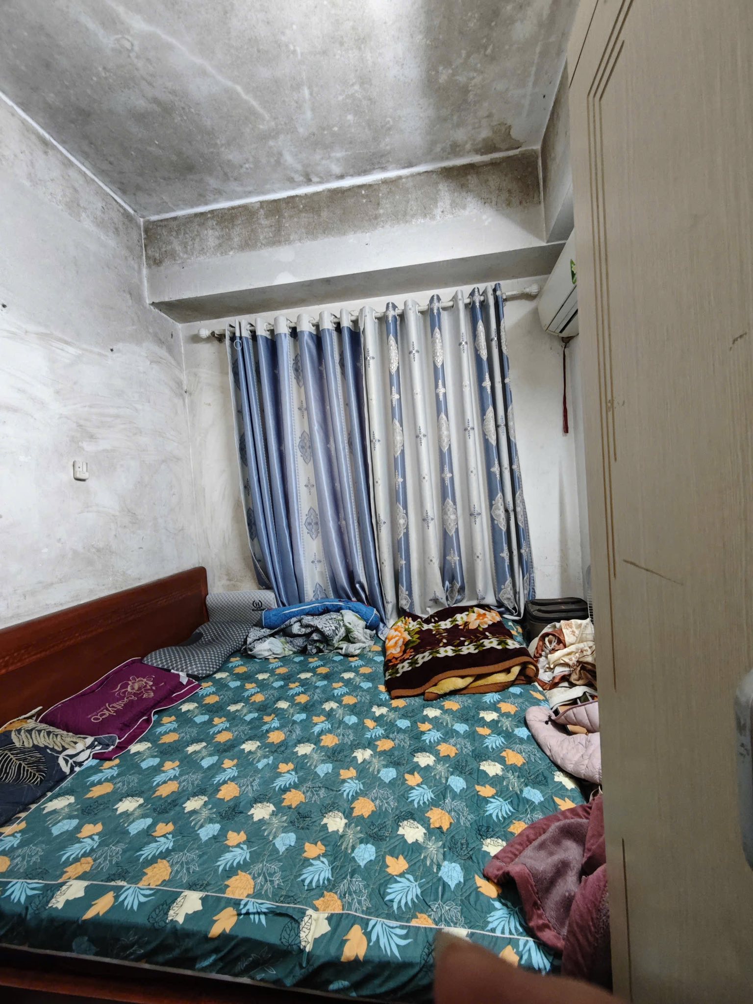 Rao bán căn hộ 58m² giá 3 tỷ nhưng tường ẩm thấp, mốc meo ở HH Linh Đàm: Cận cảnh bên trong khiến nhiều người choáng váng- Ảnh 3.