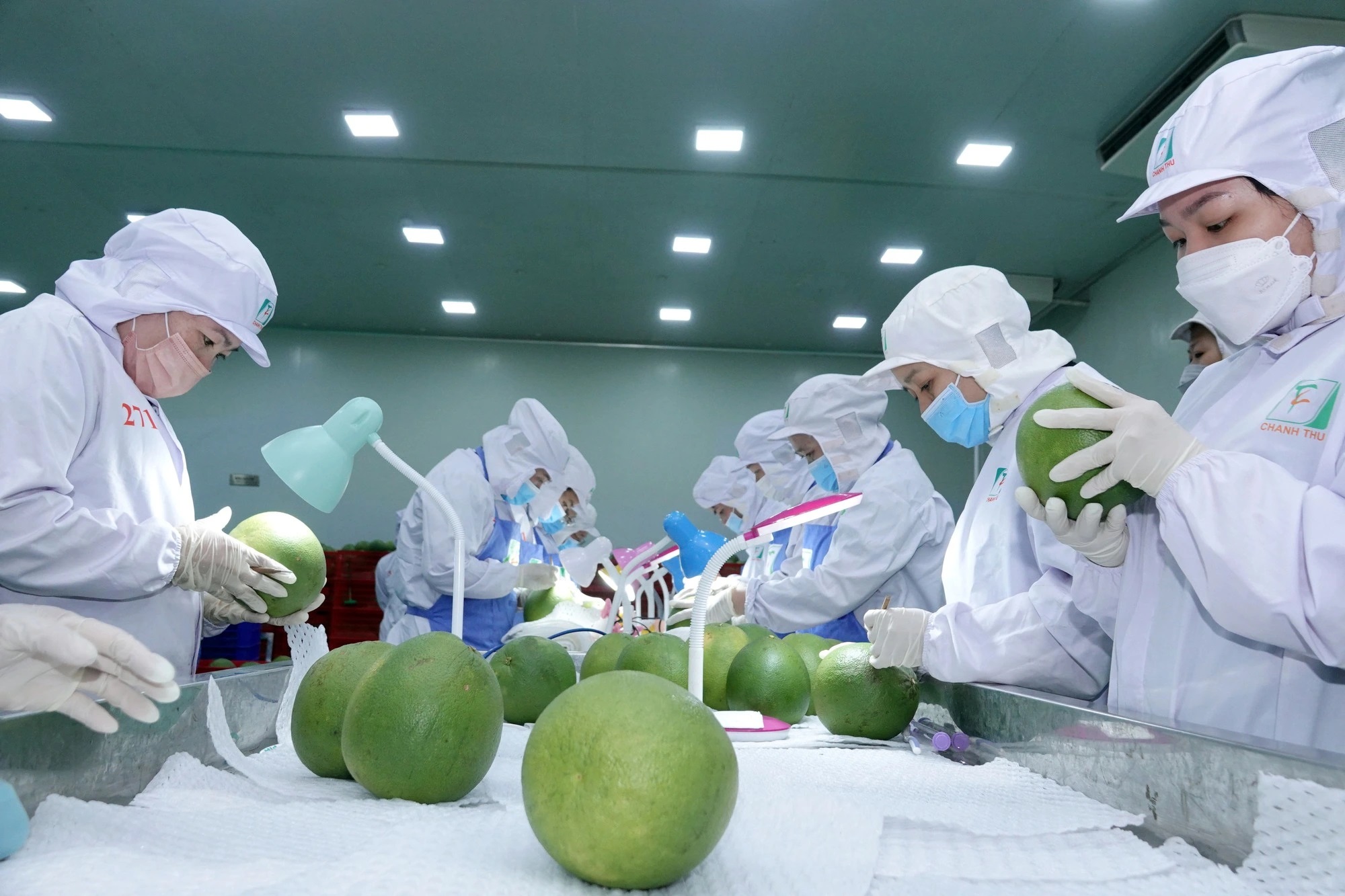 Thiết kế gói hỗ trợ doanh nghiệp 'vượt bão' xăng dầu- Ảnh 3.