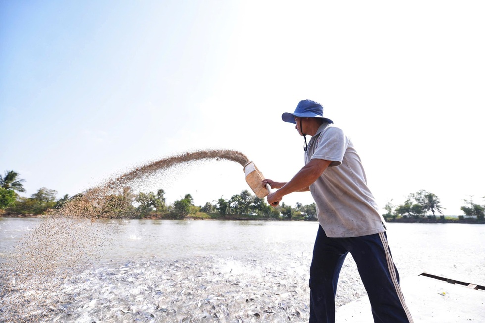 Hành trình phi thường của cá tra Việt Nam tại Nhật Bản - 3