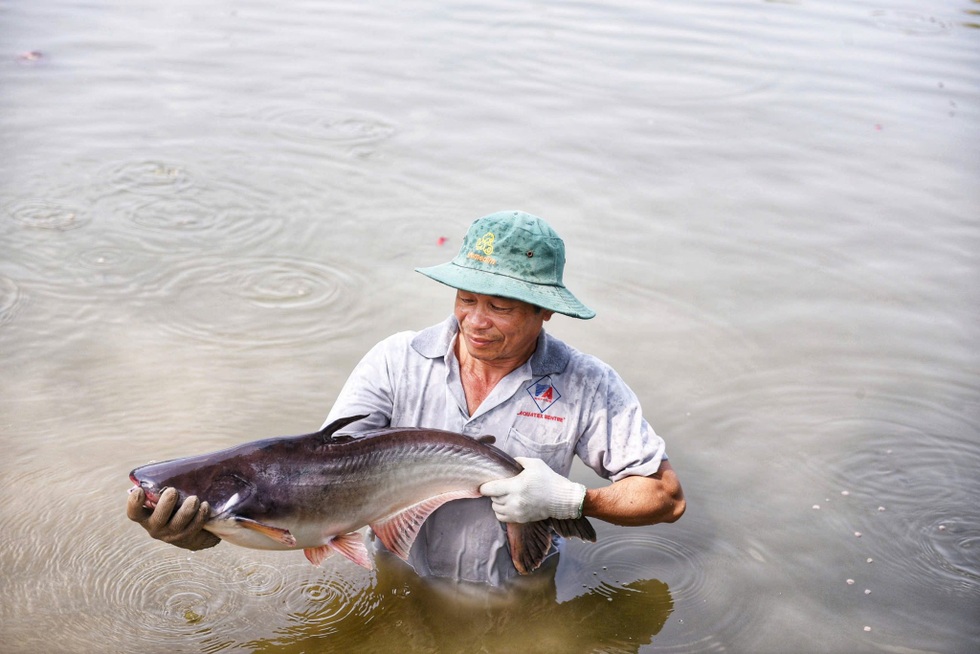 Hành trình phi thường của cá tra Việt Nam tại Nhật Bản - 4