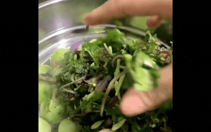 Đặc sản rẻ bèo ở Hòa Bình cũ toàn 