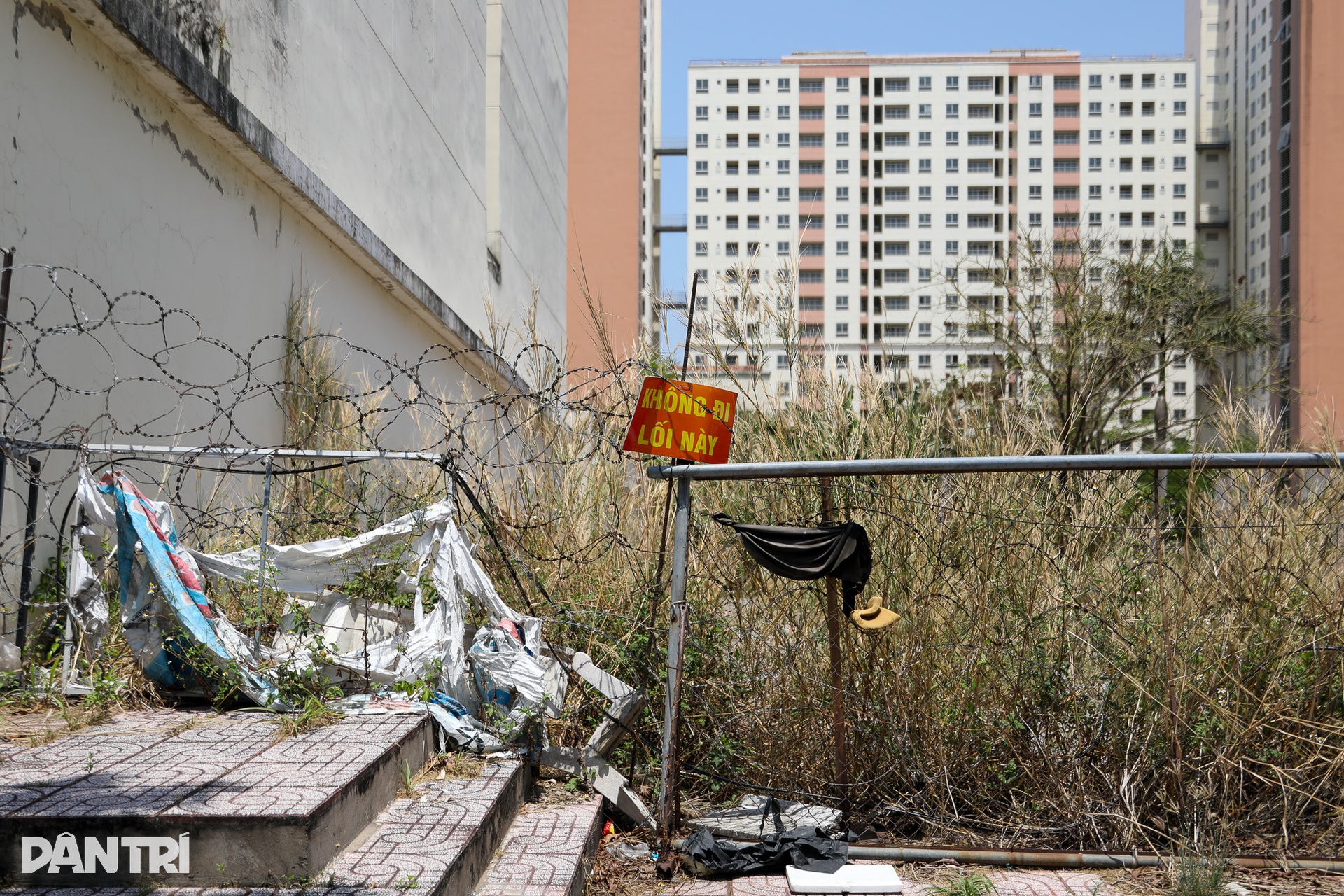 Toàn cảnh khu tái định cư lớn nhất TPHCM nhiều lần đấu giá thất bại - 5