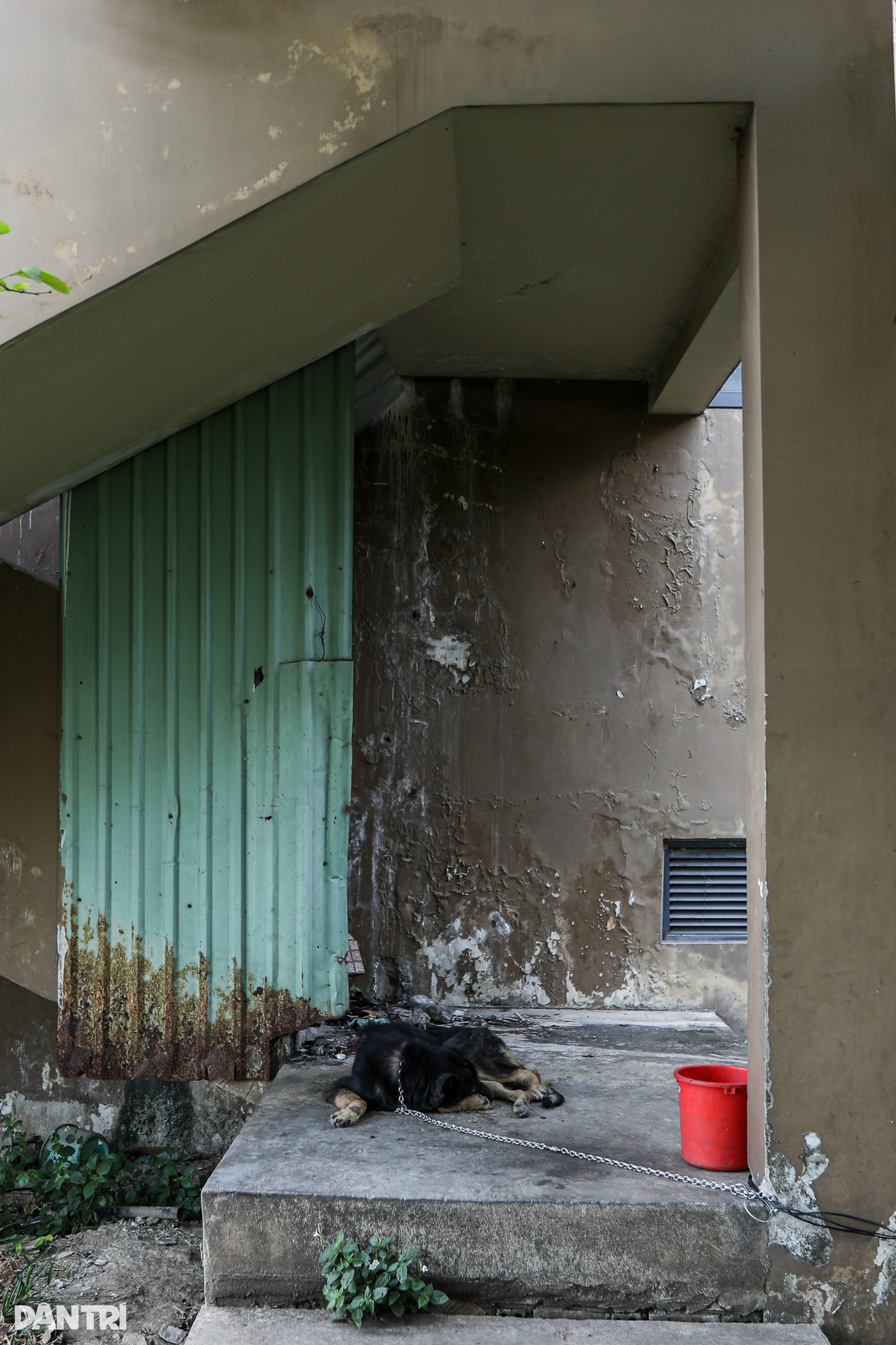 Toàn cảnh khu tái định cư lớn nhất TPHCM nhiều lần đấu giá thất bại - 6