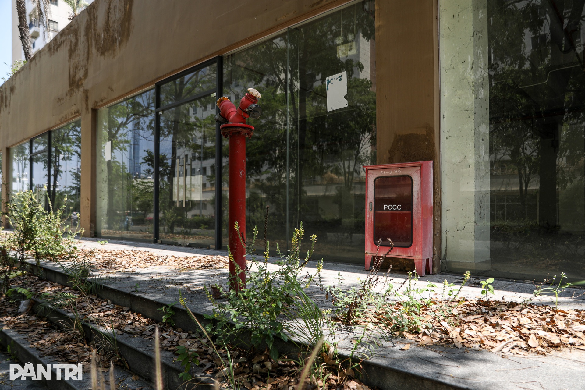 Toàn cảnh khu tái định cư lớn nhất TPHCM nhiều lần đấu giá thất bại - 12