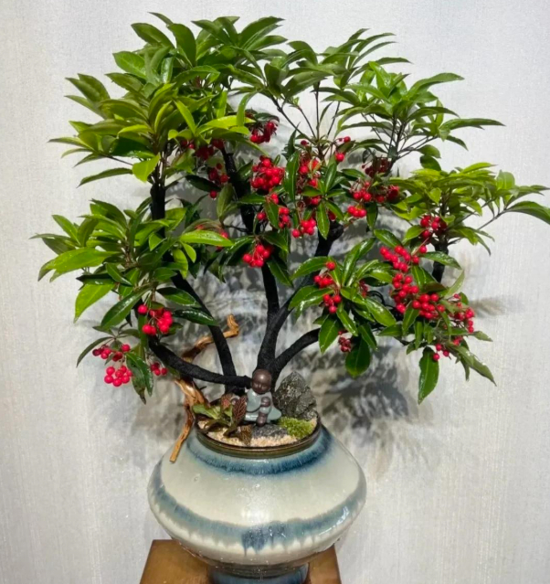 5 loài hoa nở 200 ngày mỗi năm, không biết mệt là gì: Đẹp hơn hoa hồng, thơm hơn mộc hương, chăm cực dễ- Ảnh 5.