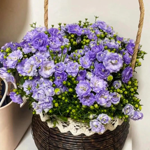 5 loài hoa nở 200 ngày mỗi năm, không biết mệt là gì: Đẹp hơn hoa hồng, thơm hơn mộc hương, chăm cực dễ- Ảnh 9.