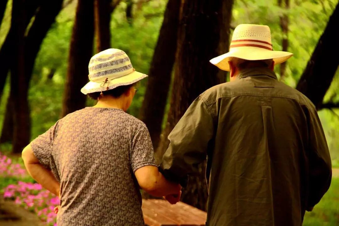 8 năm làm giúp việc cho người giàu, tôi phát hiện ra điểm chung “đau lòng” của đời người: Điều đáng sợ nhất lúc về già không phải là nghèo- Ảnh 2.