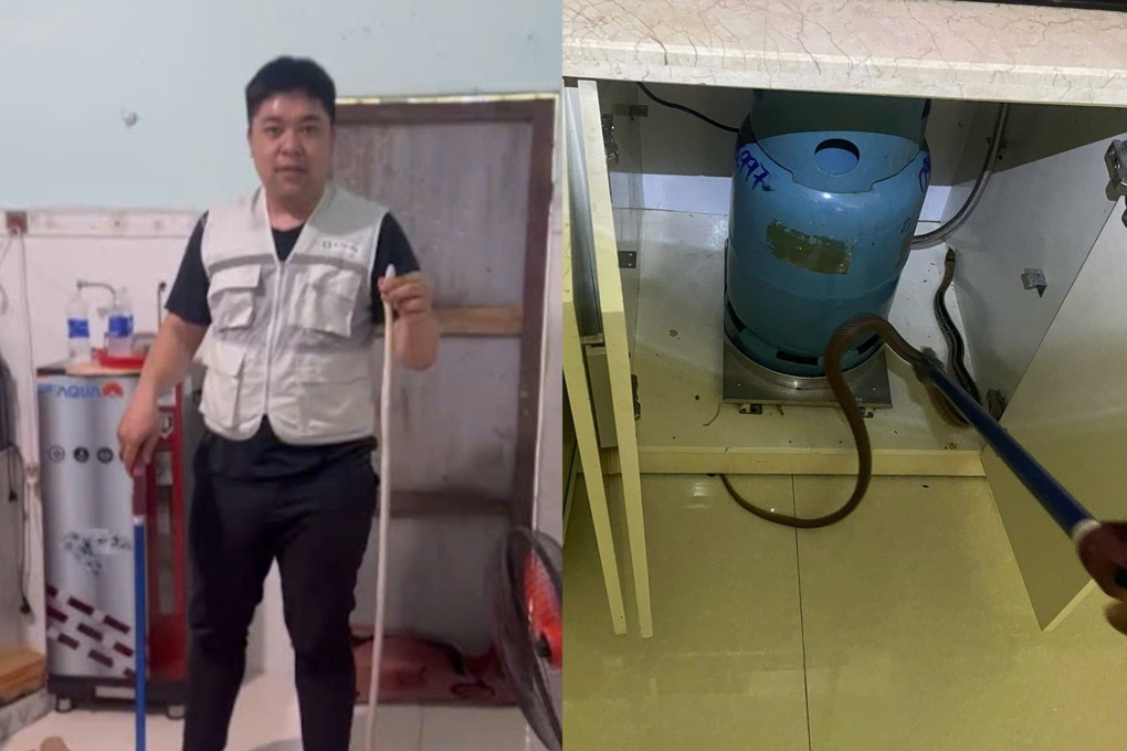 Vụ ông lão cụt tay kẹp rắn: Người trong nghề nói trường hợp “lạ” - 3
