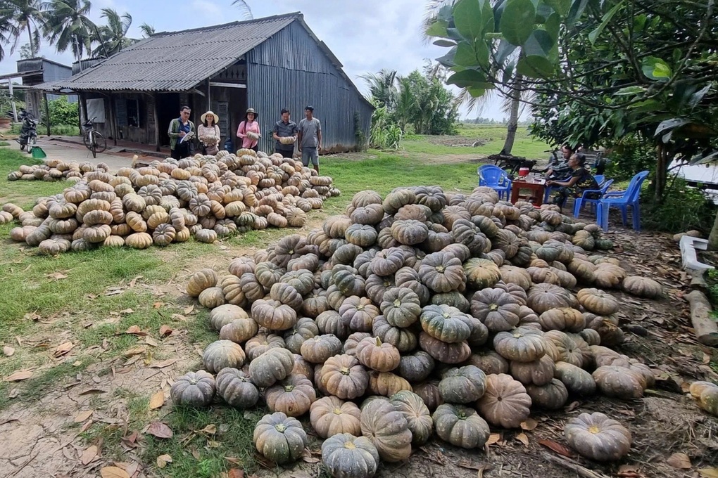 Bí đỏ, dưa hấu còn 5.000-10.000 đồng/kg, nhiều nơi kêu gọi giải cứu - 2