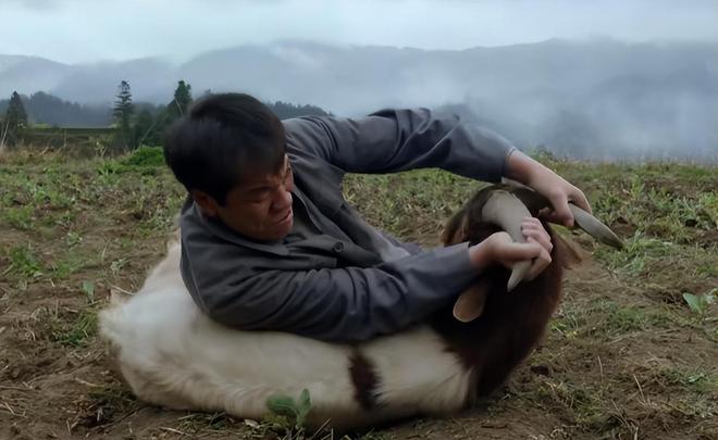 Đàm Tùng Vận ngã ngựa- Ảnh 4.