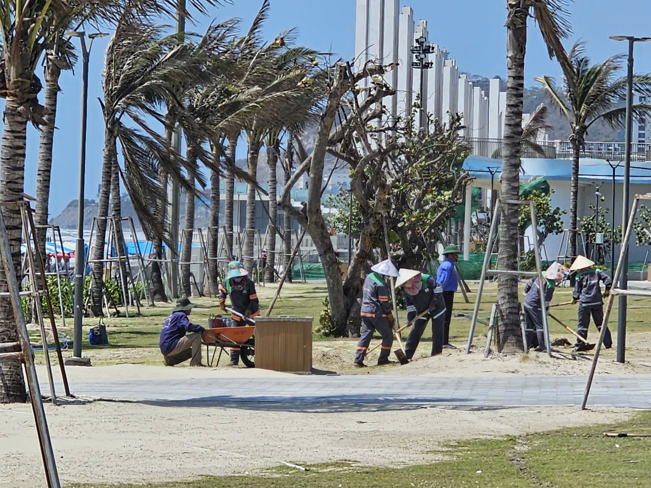 Bãi Sau Vũng Tàu: Dự án ngàn tỉ bị cát vùi, cách nào chặn cát bay?- Ảnh 3.