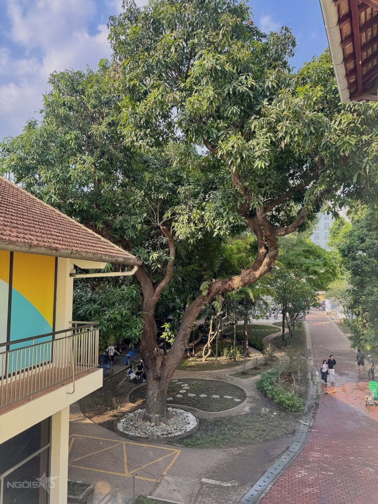 'Đột nhập' biệt thự cổ 100 tuổi - trụ sở mới cực chill của NVH Thanh niên - 5