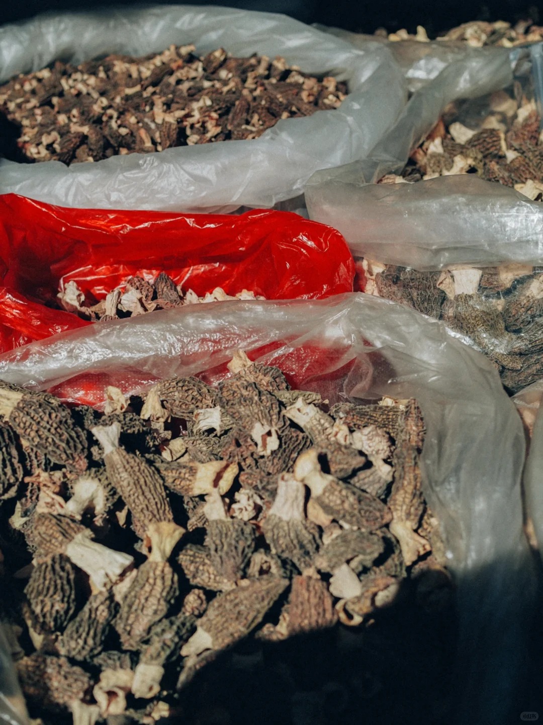 Bỏ qua những tour đắt đỏ, khách Việt đi Vân Nam giờ chuộng mốt 