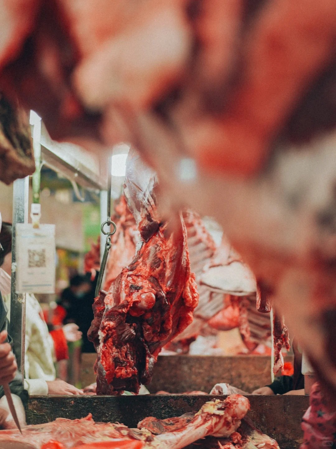 Bỏ qua những tour đắt đỏ, khách Việt đi Vân Nam giờ chuộng mốt 