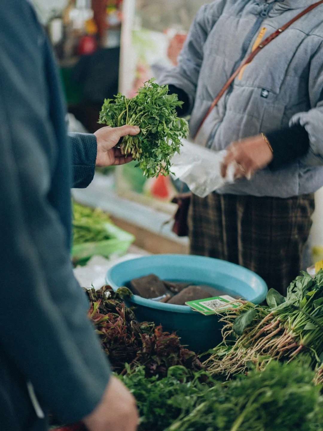 Bỏ qua những tour đắt đỏ, khách Việt đi Vân Nam giờ chuộng mốt 