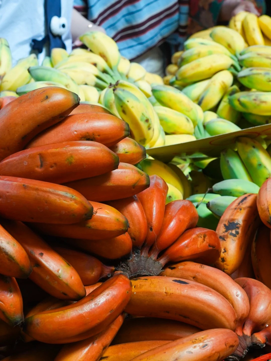 Bỏ qua những tour đắt đỏ, khách Việt đi Vân Nam giờ chuộng mốt 