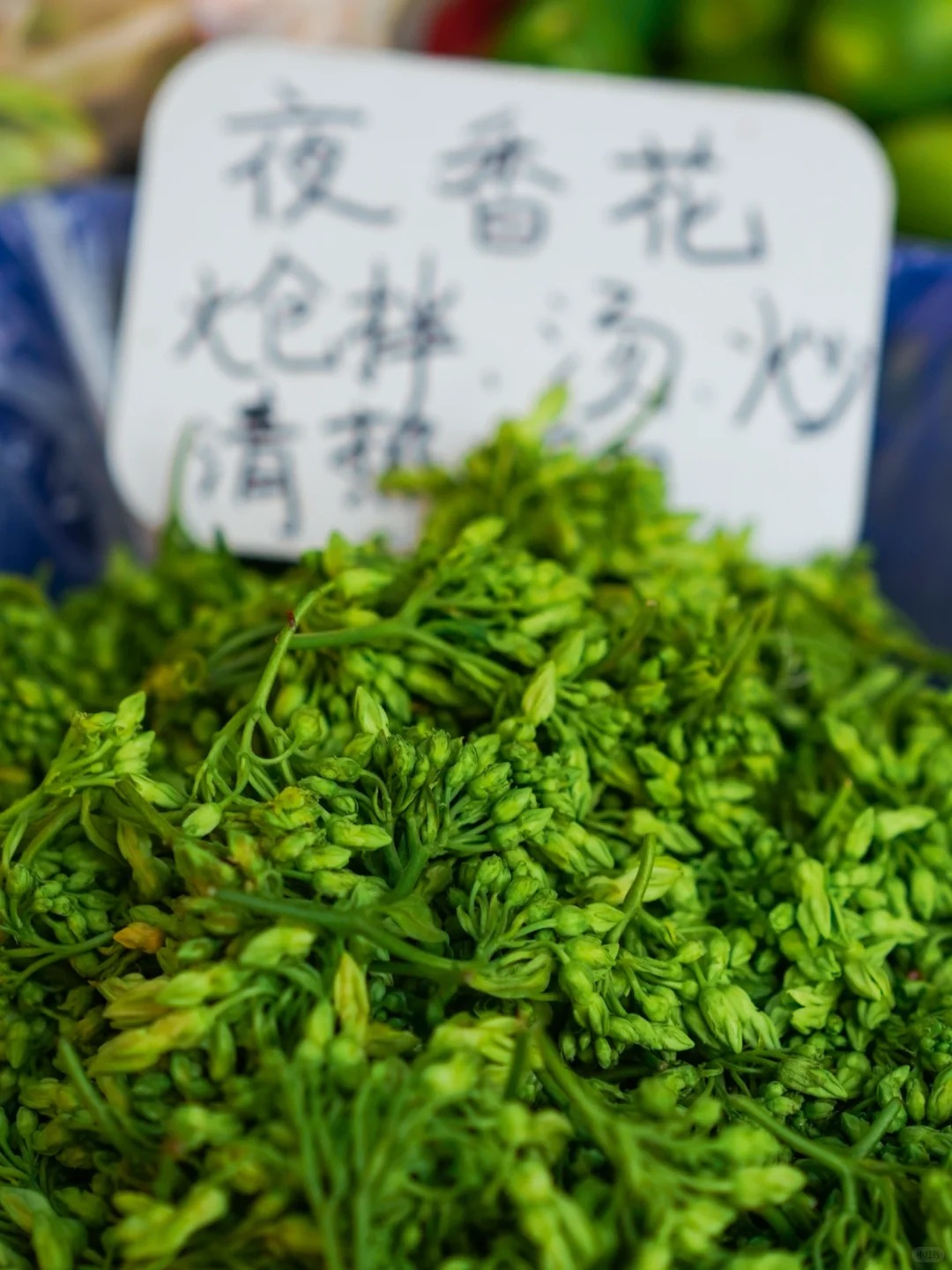 Bỏ qua những tour đắt đỏ, khách Việt đi Vân Nam giờ chuộng mốt 