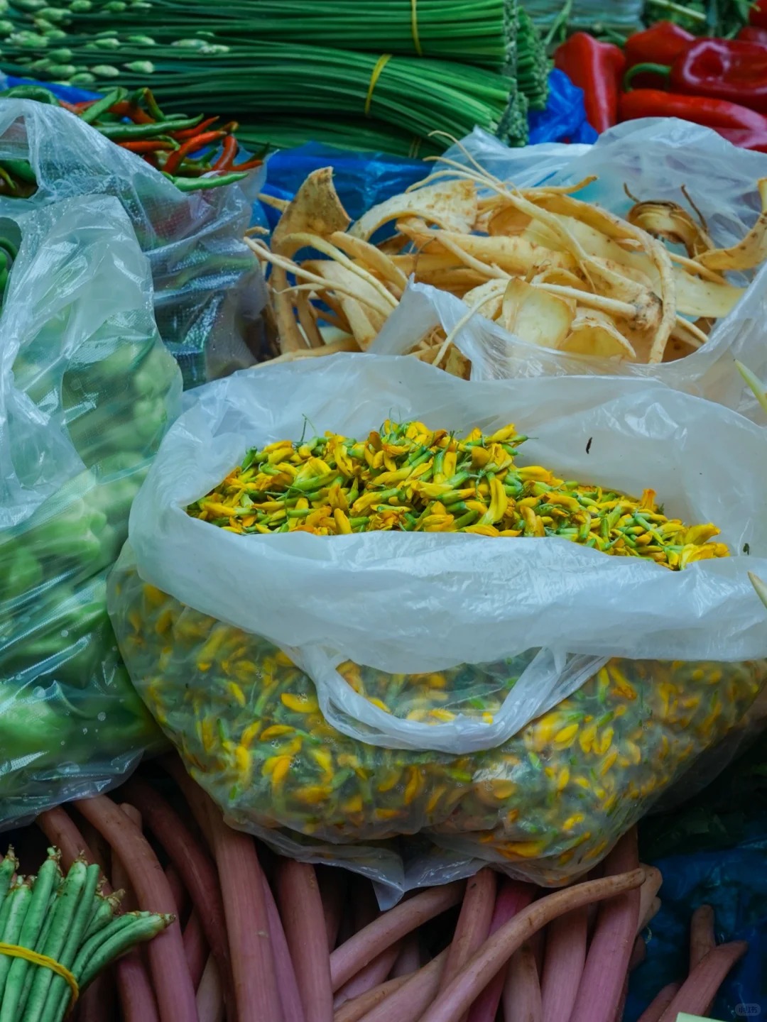 Bỏ qua những tour đắt đỏ, khách Việt đi Vân Nam giờ chuộng mốt 