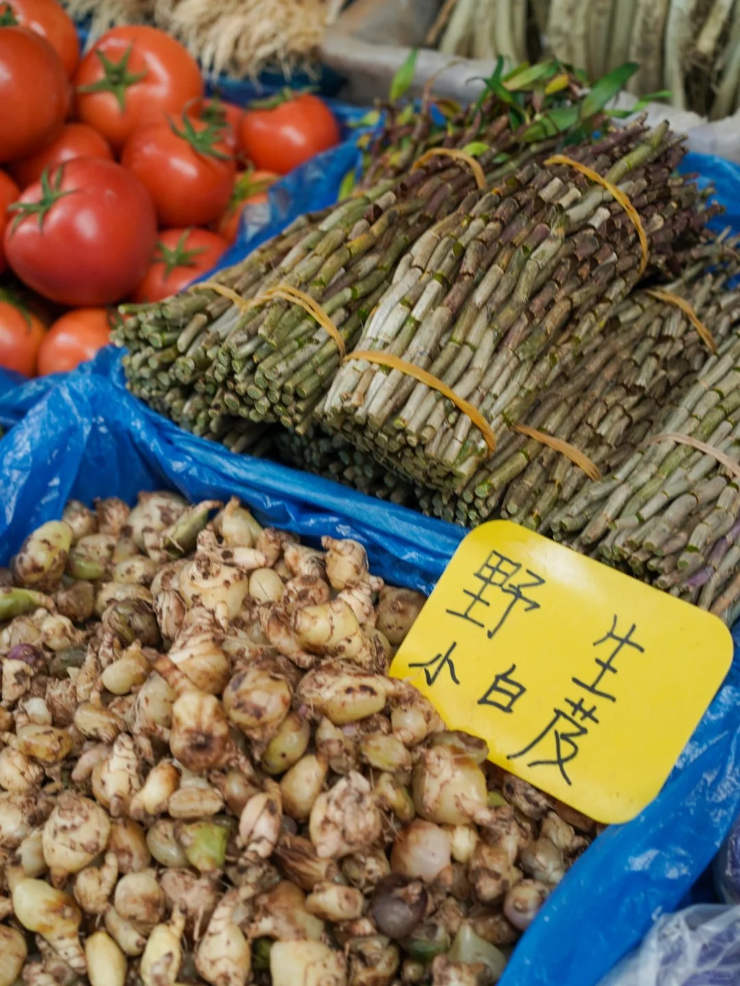 Bỏ qua những tour đắt đỏ, khách Việt đi Vân Nam giờ chuộng mốt 