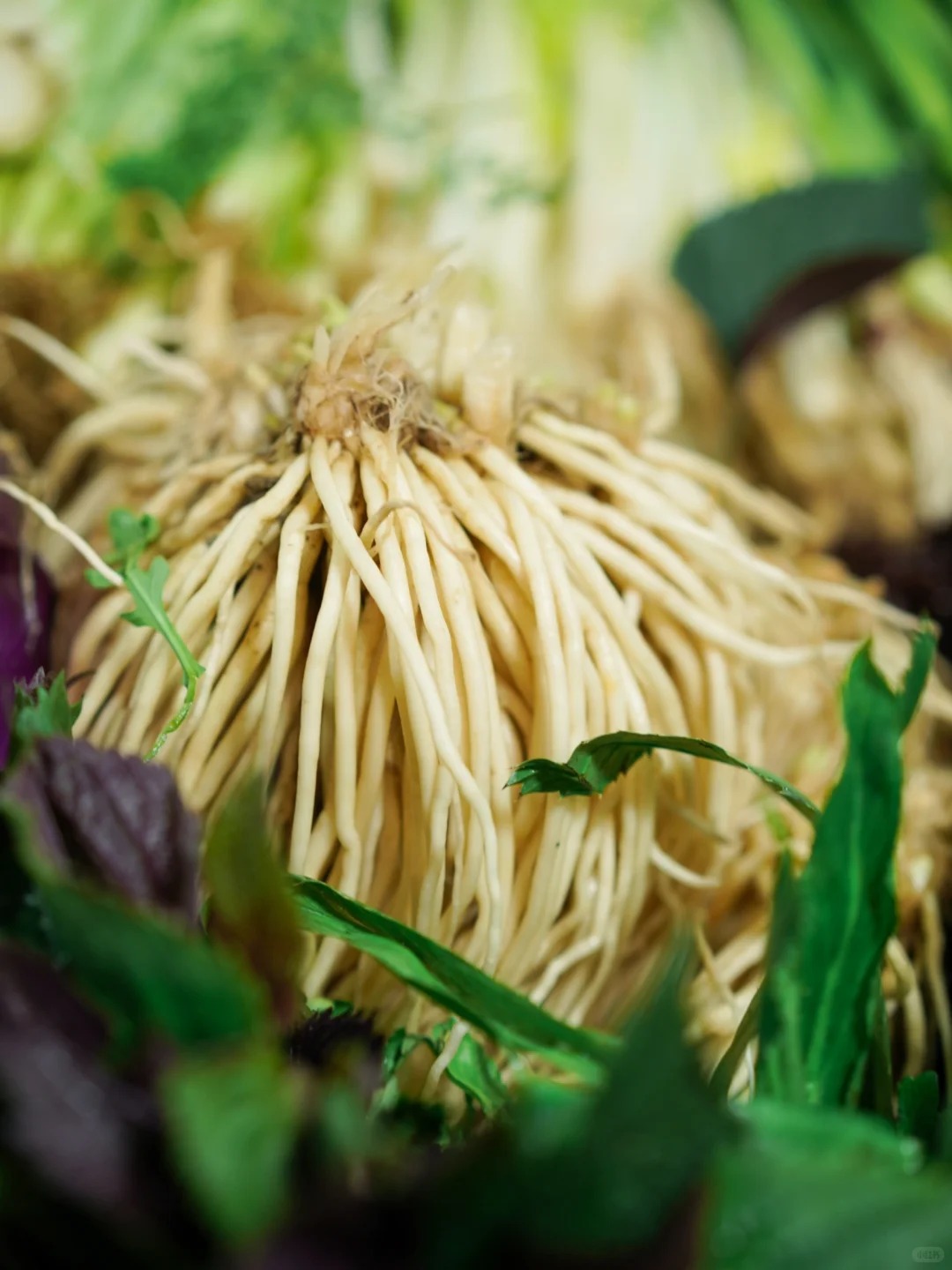 Bỏ qua những tour đắt đỏ, khách Việt đi Vân Nam giờ chuộng mốt 