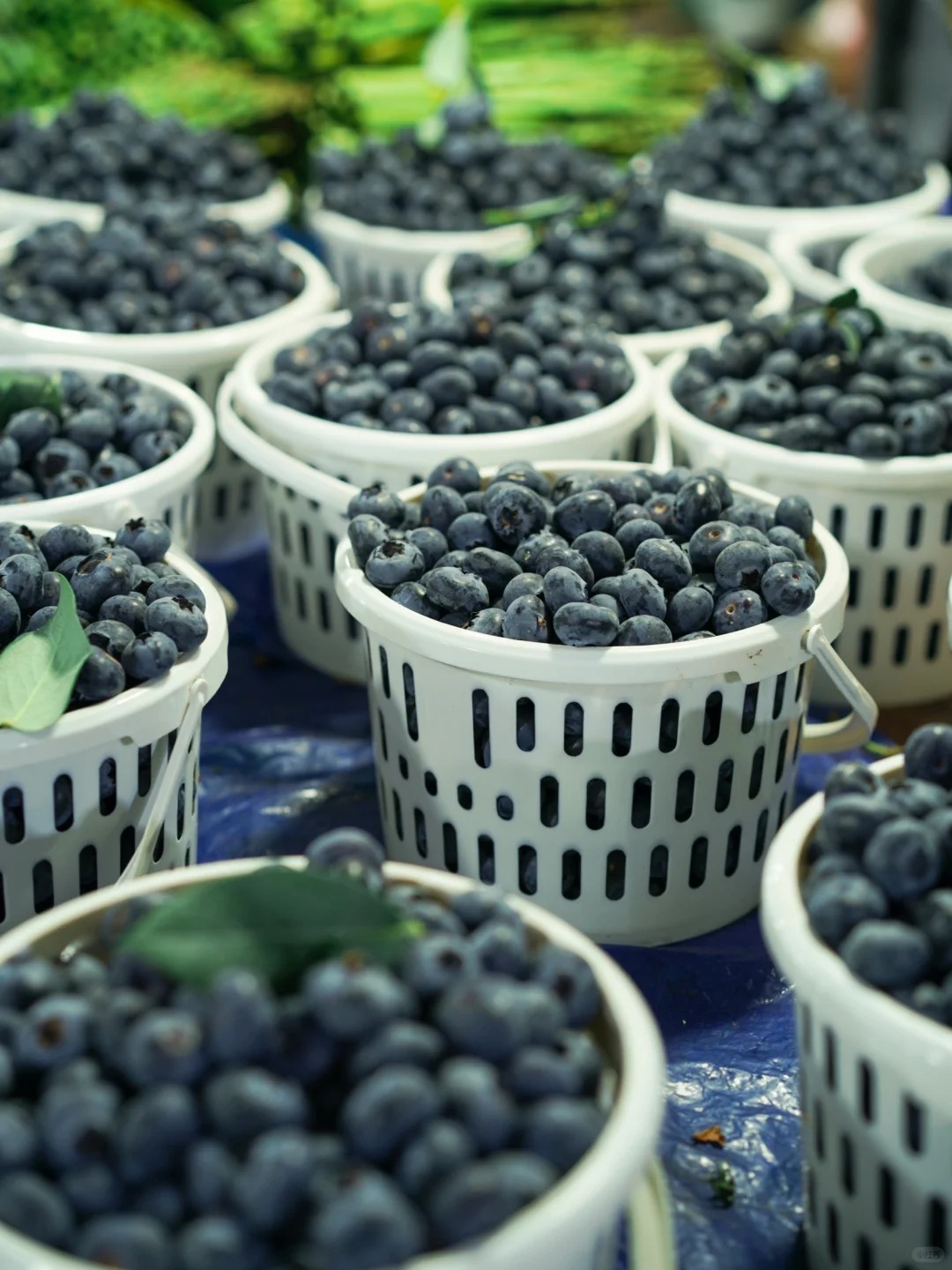 Bỏ qua những tour đắt đỏ, khách Việt đi Vân Nam giờ chuộng mốt 