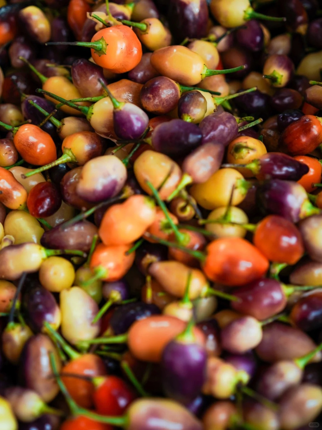 Bỏ qua những tour đắt đỏ, khách Việt đi Vân Nam giờ chuộng mốt 