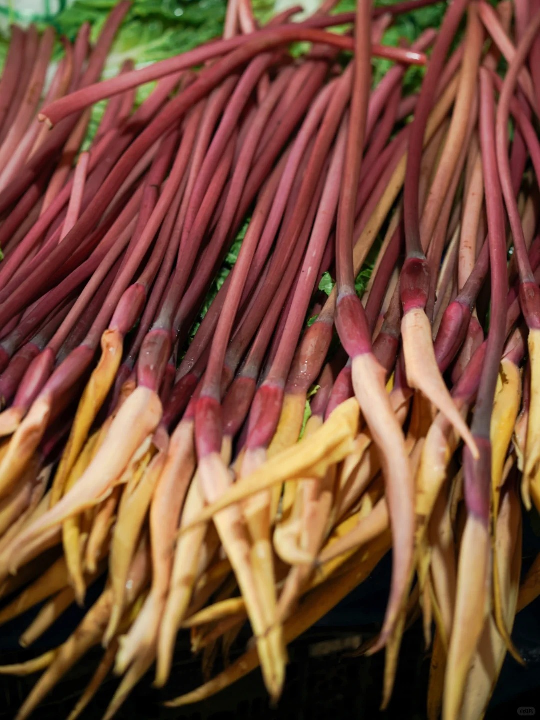 Bỏ qua những tour đắt đỏ, khách Việt đi Vân Nam giờ chuộng mốt 