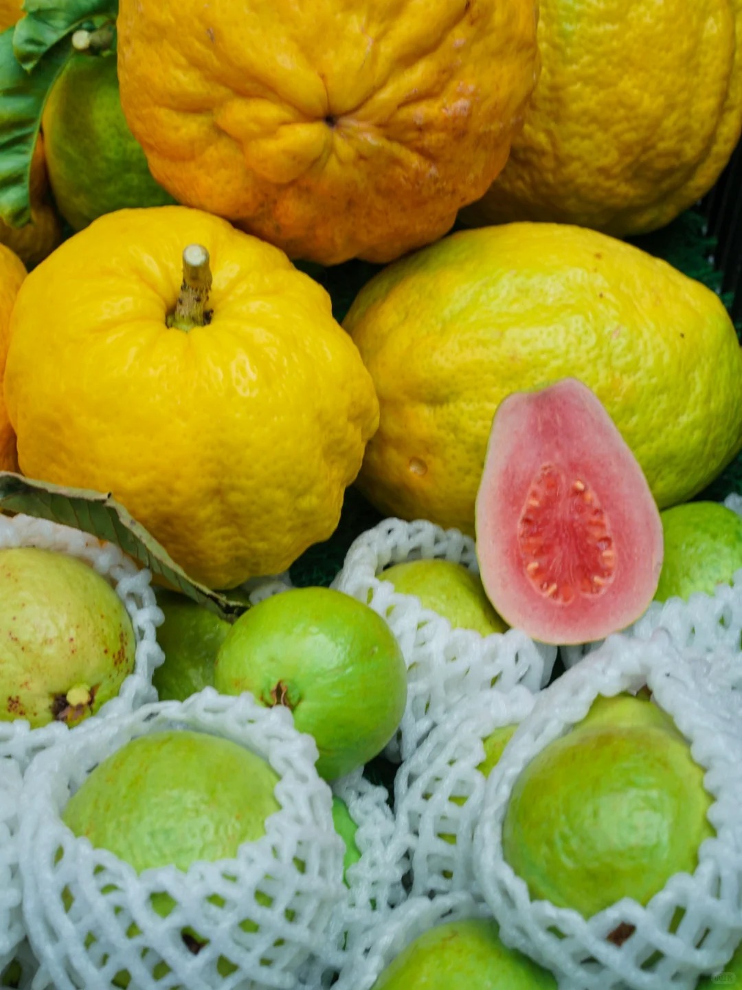 Bỏ qua những tour đắt đỏ, khách Việt đi Vân Nam giờ chuộng mốt 