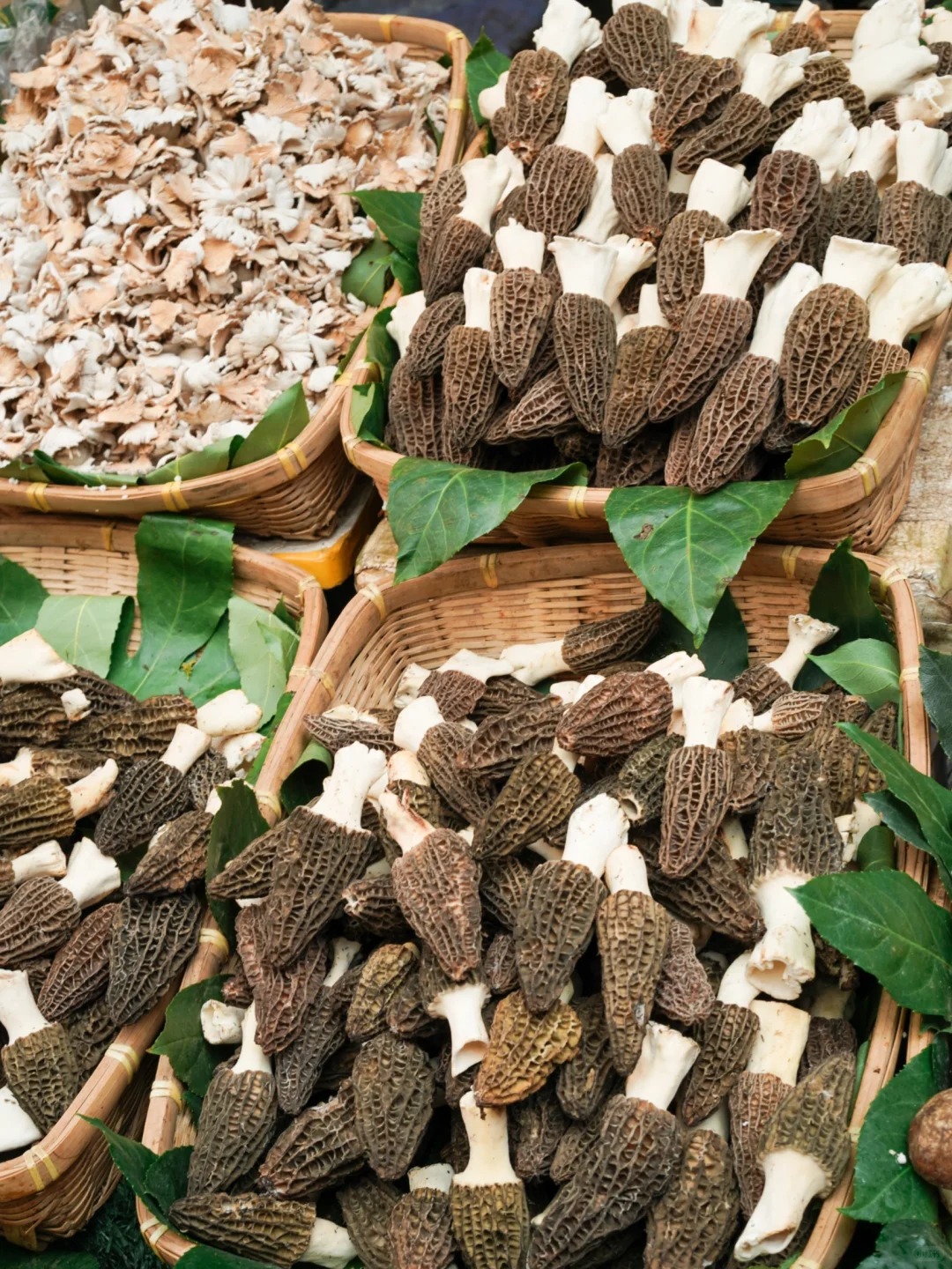 Bỏ qua những tour đắt đỏ, khách Việt đi Vân Nam giờ chuộng mốt 